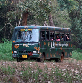 Nagarahole safari activity