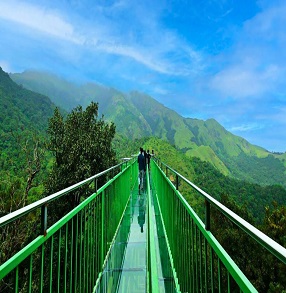 Wayanad attraction with nature view