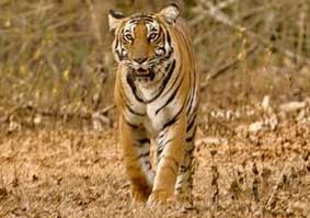 Weekend getaways in Karnataka