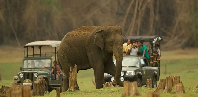 Nagarahole and Wayanad tour overview