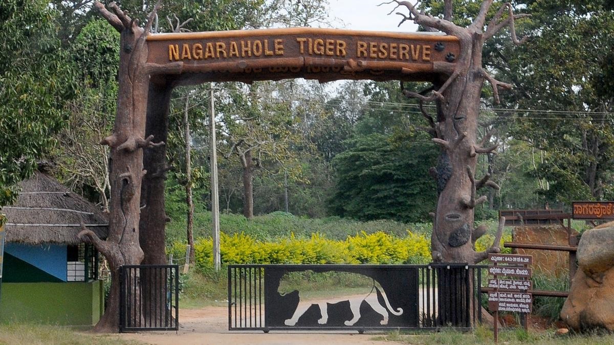  nagarahole tour