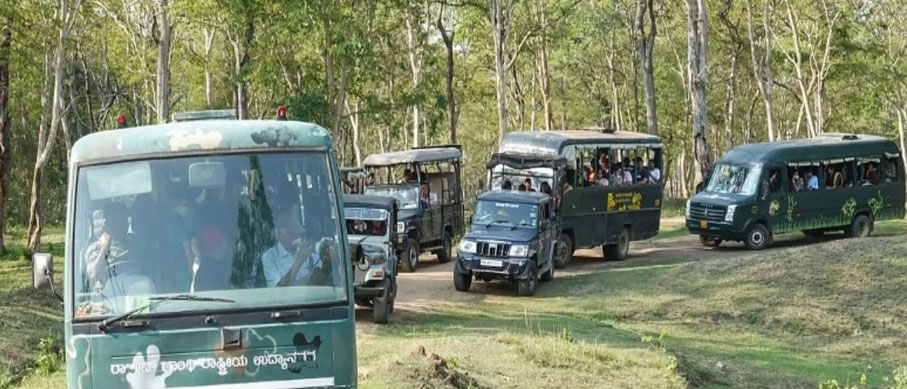 nagarahole safari tour