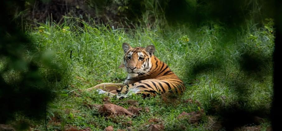 nagarahole tour