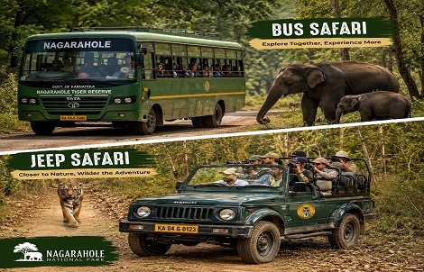 choose safari type