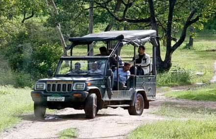 nagarhole national park jeep safari